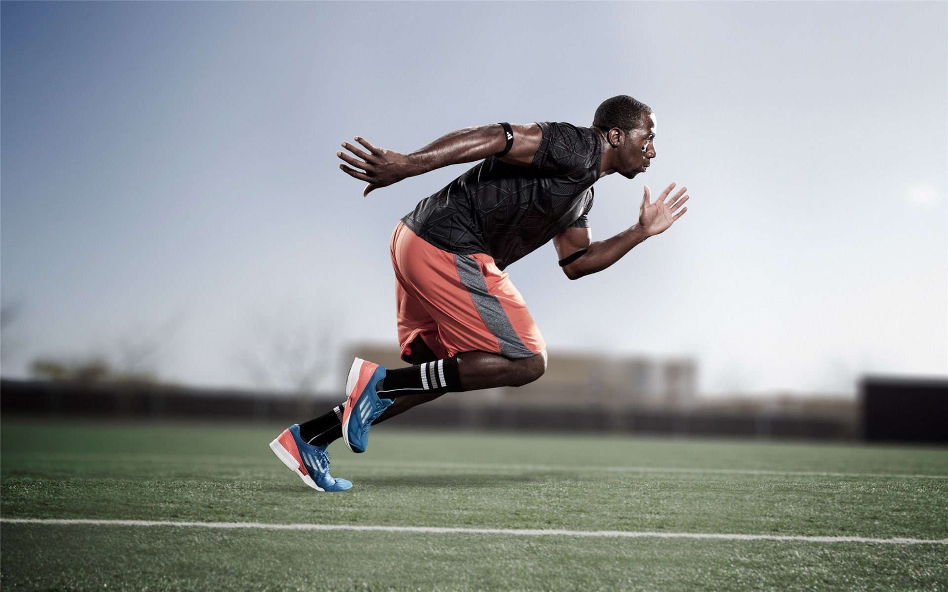 绿茵场与沙漠之舟，巴斯托尼的觉醒与阿尔及利亚的坚韧