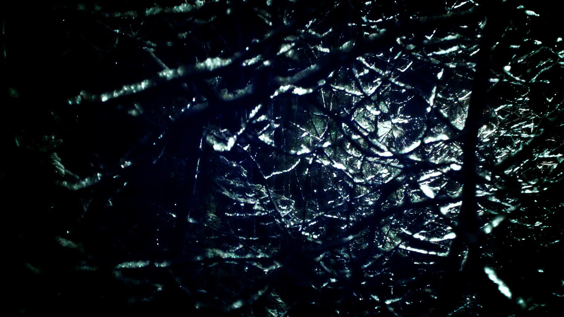 德甲决战日,三个大陆,同一粒尘埃