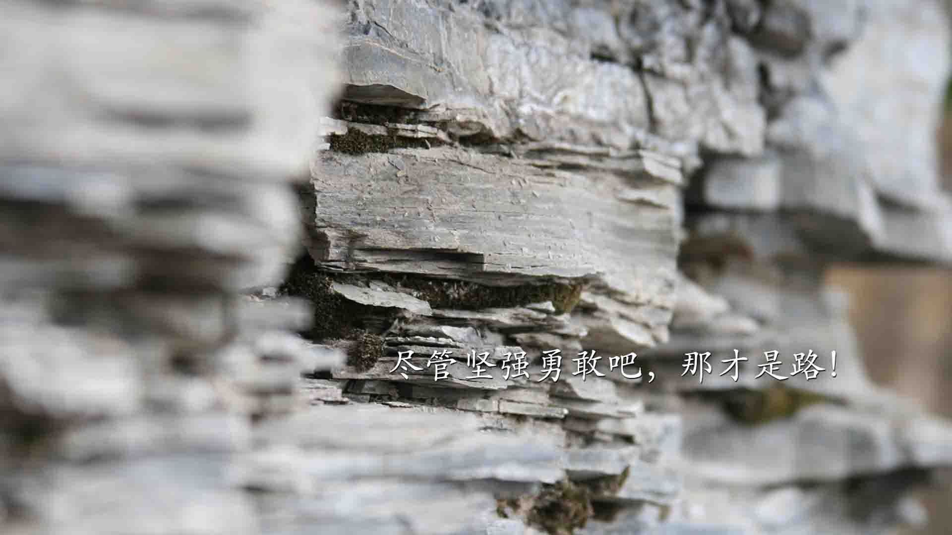 开云体育在线-金球定江山，赖斯一球定音彰显超巨本色，桑巴军团终结中国前行路