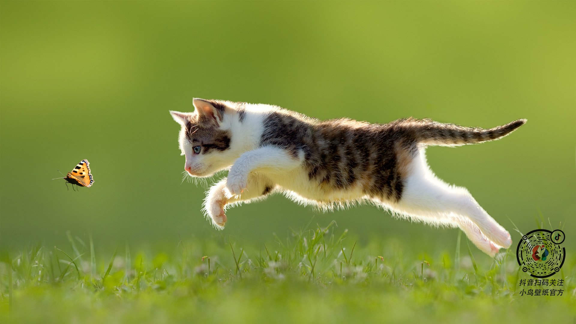 开云体育app-长城与金字塔的对话，门迪一夫当关，瑞士铁蹄踏碎埃及法老梦