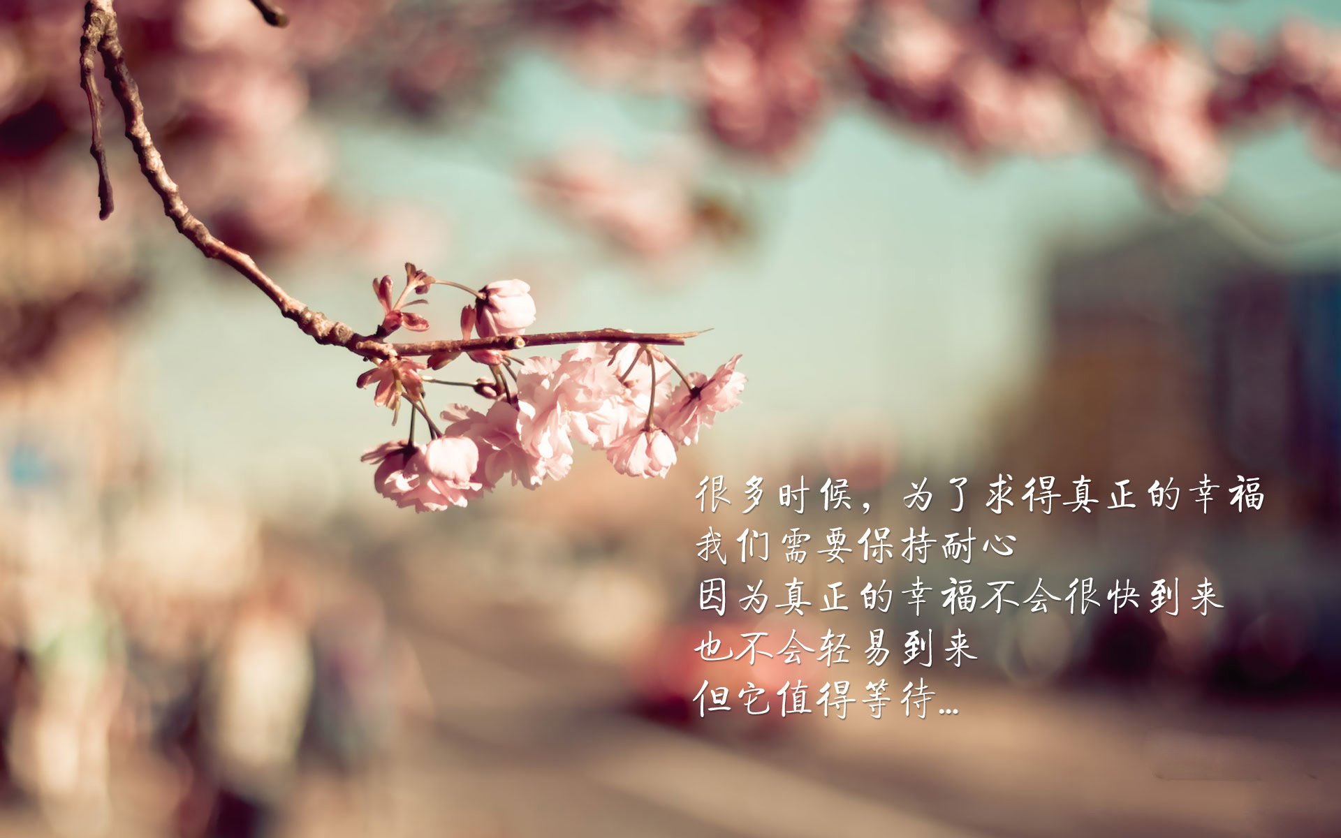 窒息末节！澳大利亚窒息防守绞杀克罗地亚 罗德里戈冷血一击定江山