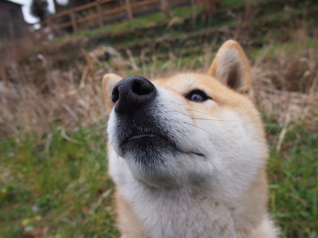 跨越时空的荣耀对决，当詹姆斯成为无形纽带，新疆飞虎血拼印第安纳步行者