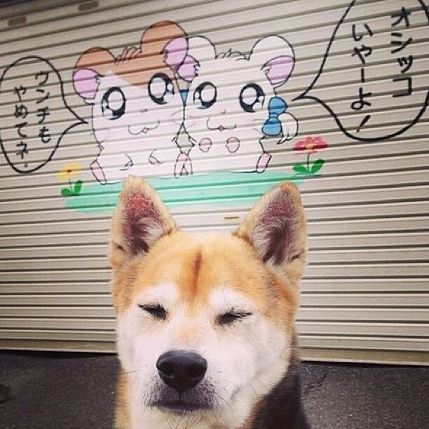 足球世界的东方密码，罗德里戈的关键节点与日本对曼联的血拼