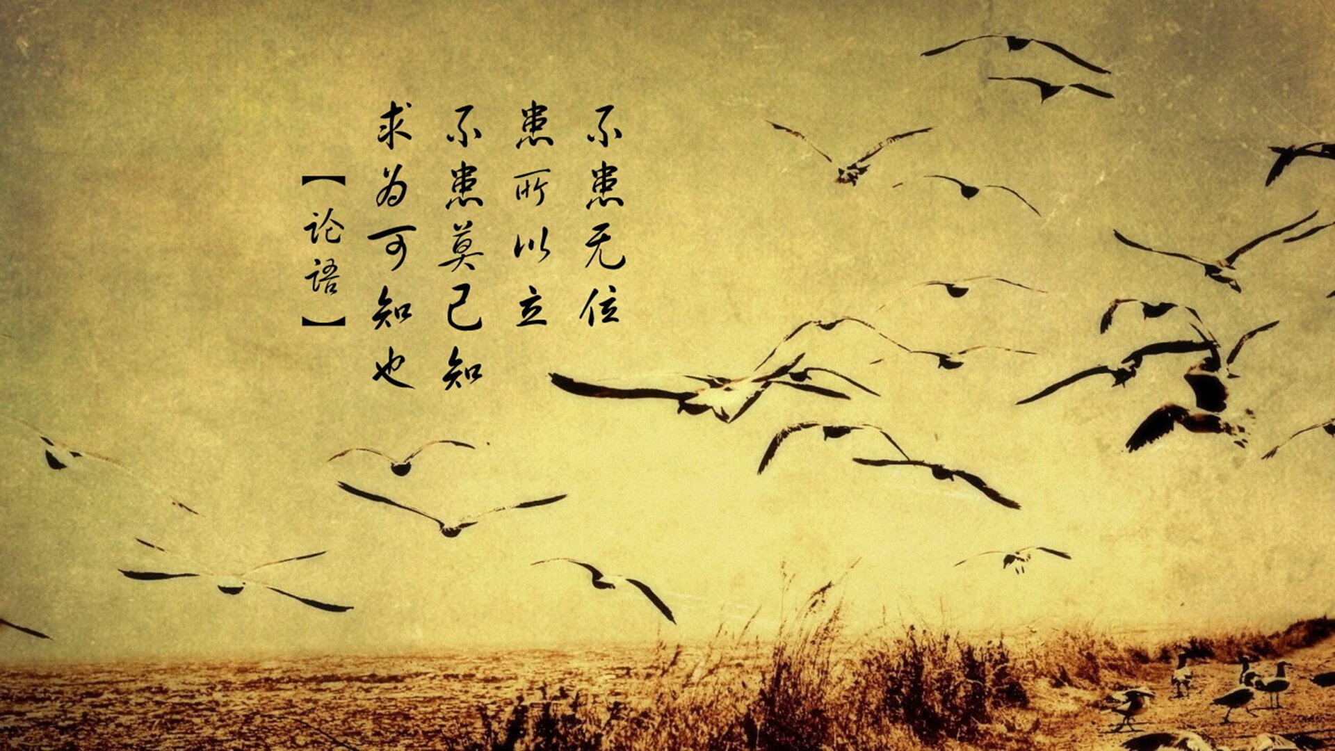 数据洪流中的孤岛,当巴斯托尼的绝对唯一撕裂澳委之战的空气