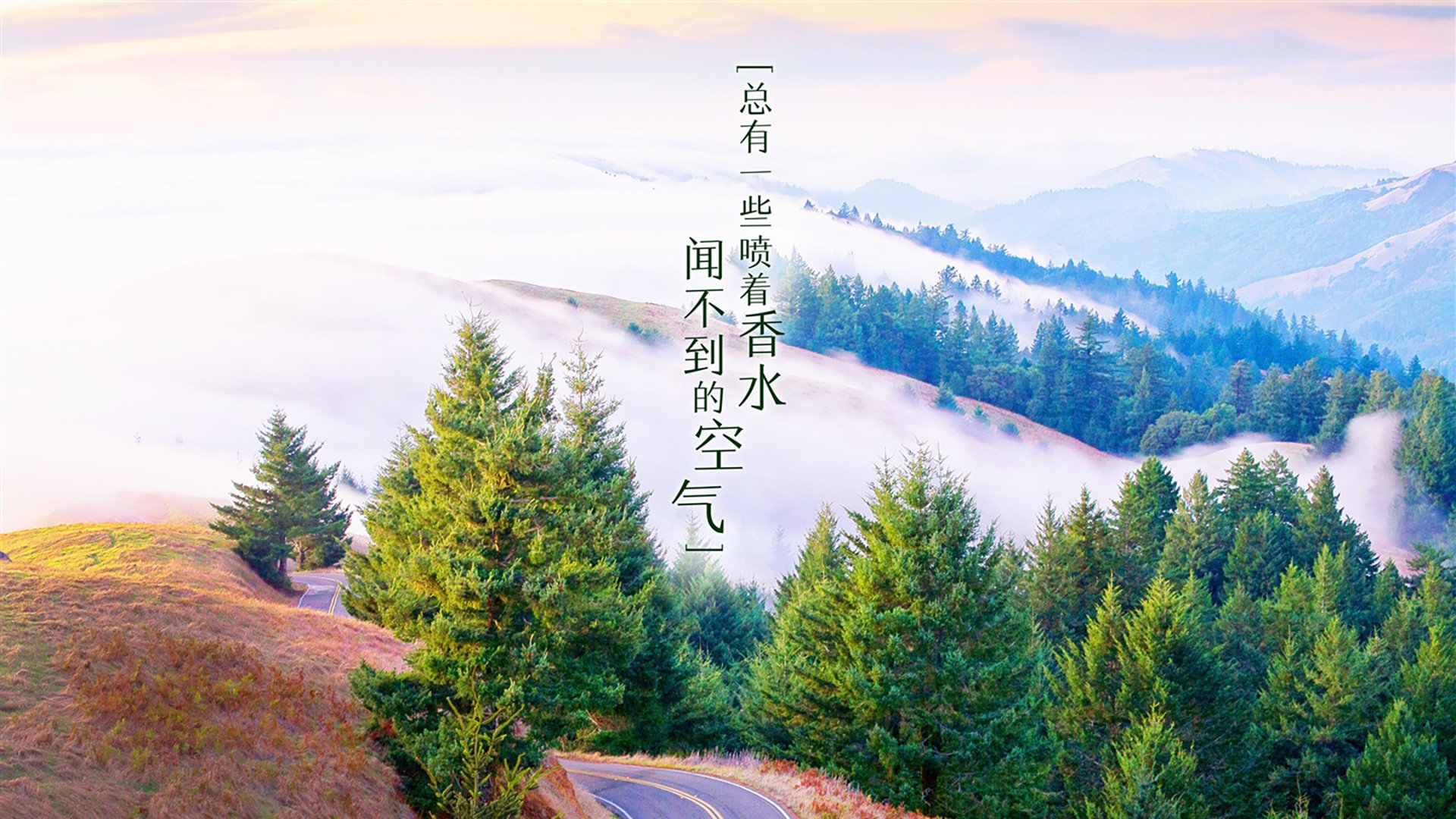 极光破星条,2026世界杯D组冰岛绝杀美国,哈兰德演绎北欧神话新章