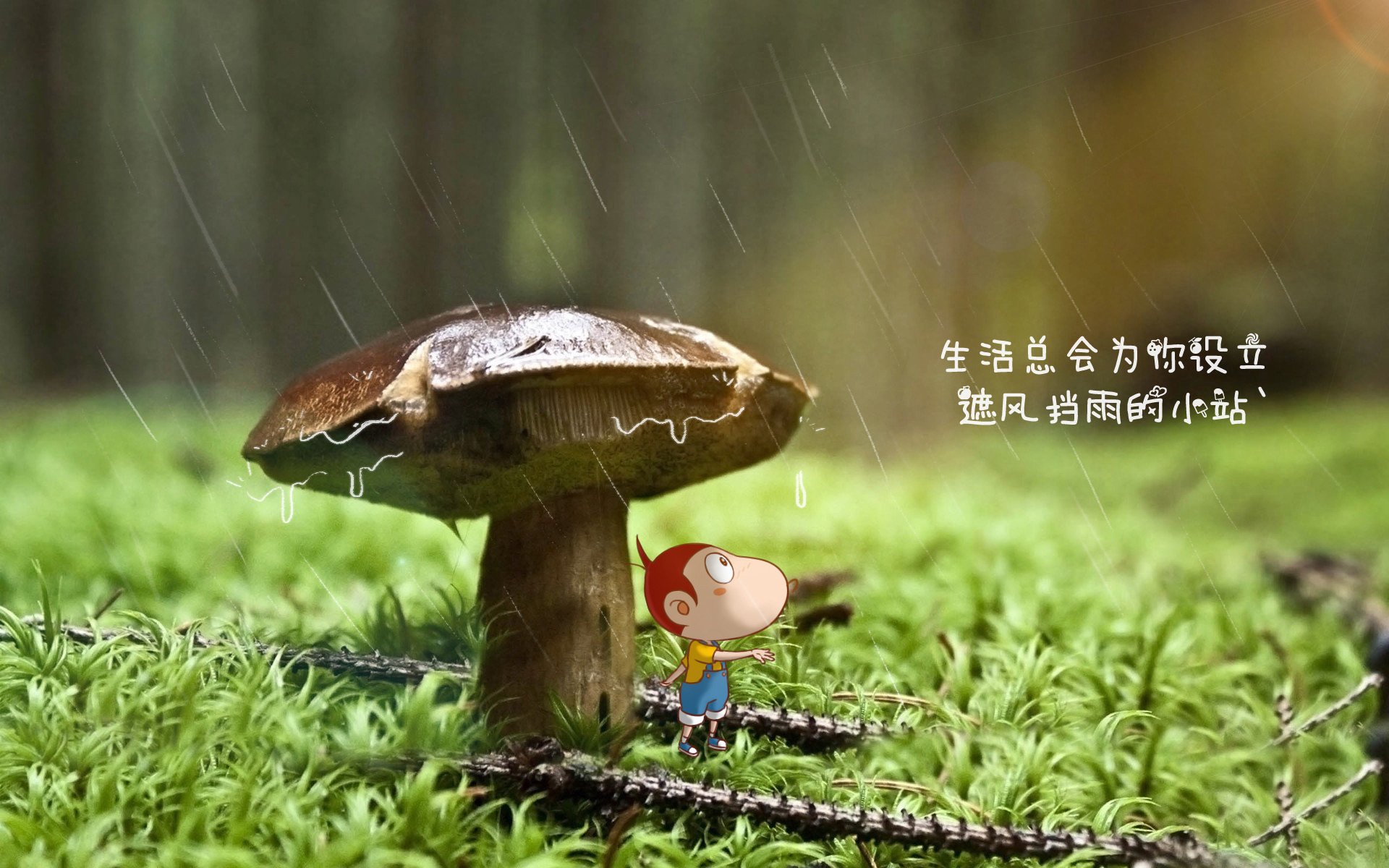 开云体育app-命悬一线的独奏,2026世界杯A组,努涅斯如何用一场不可复制的个人史诗,撕裂澳大利亚与尼日利亚的天平